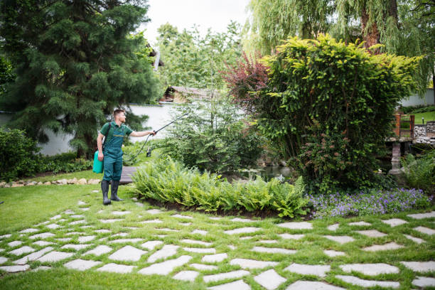 Professional Tree Services in Lawndale, CA